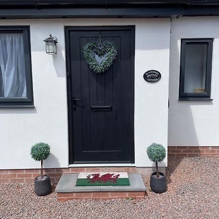 Blackberry Cottage Cardiff Eksteriør bilde